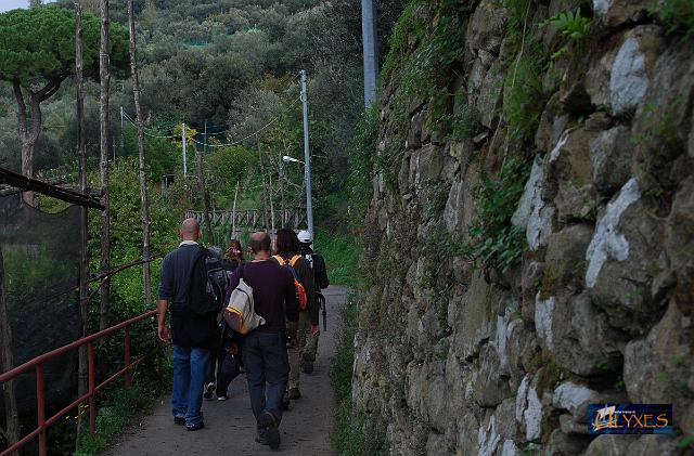 passeggiando con arte.JPG